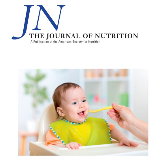 The effect of maternal multiple micronutrient supplementation on female early infant mortality is fully mediated by increased gestation duration and intrauterine growth